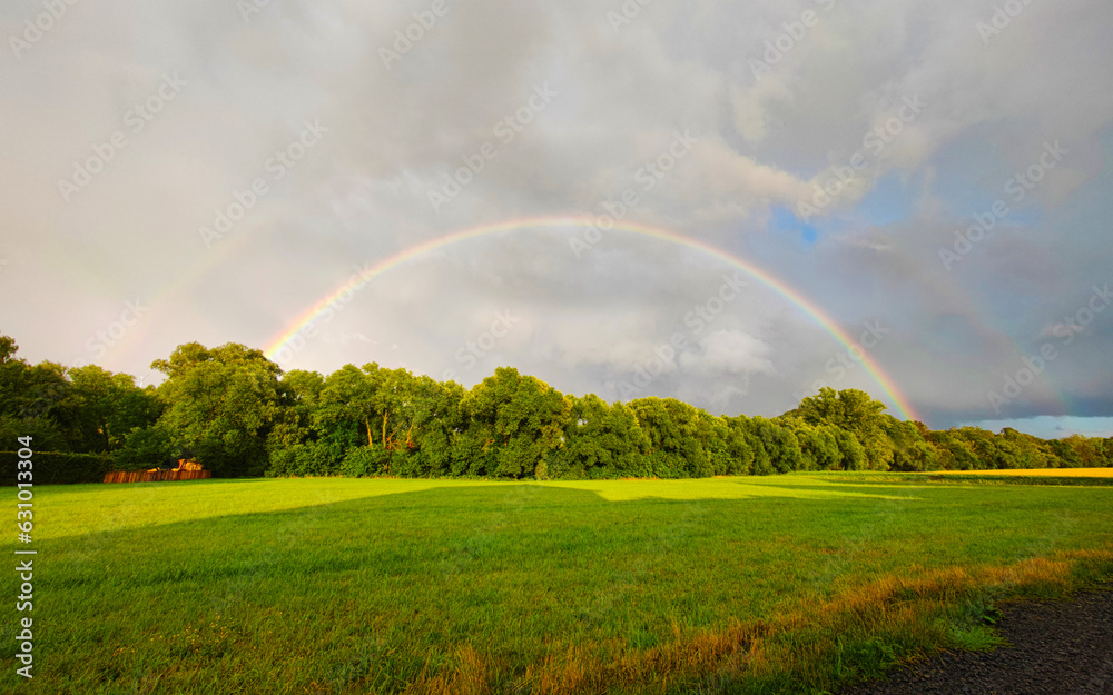 Naklejka premium complete rainbow over fields and trees against storm clouds