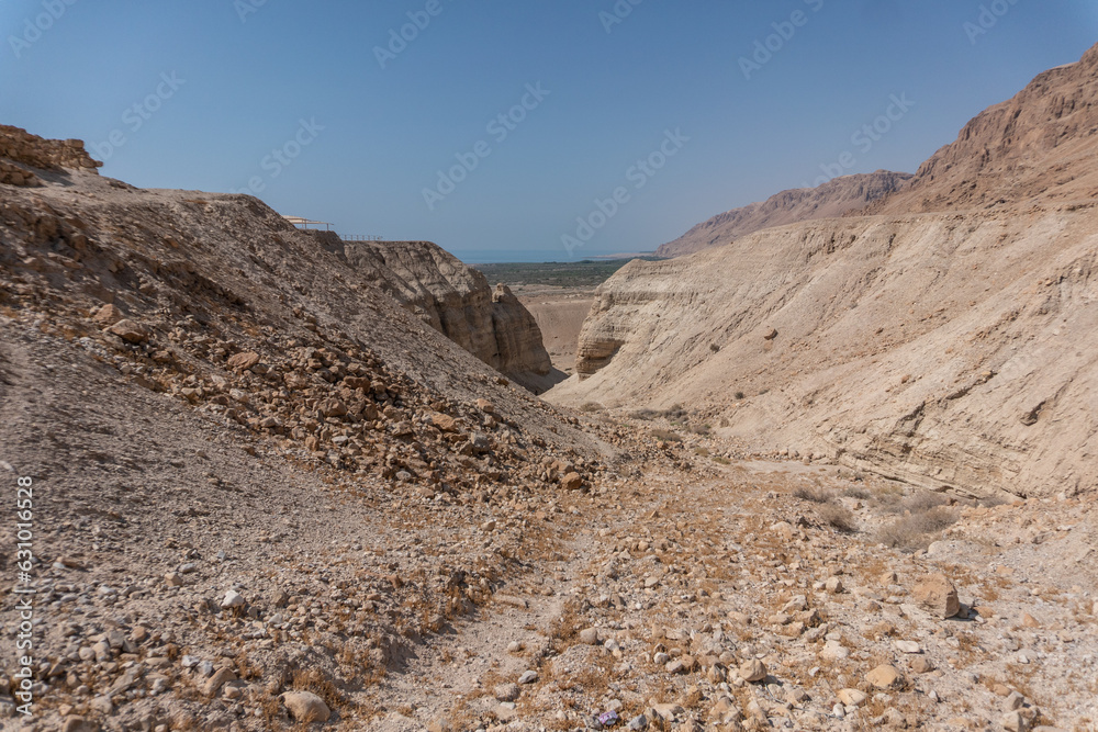 desierto de israel