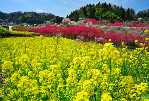 花桃の里
