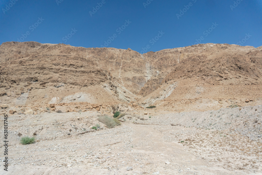 Desierto Israelí, Israel Desierto Israelí, Israel