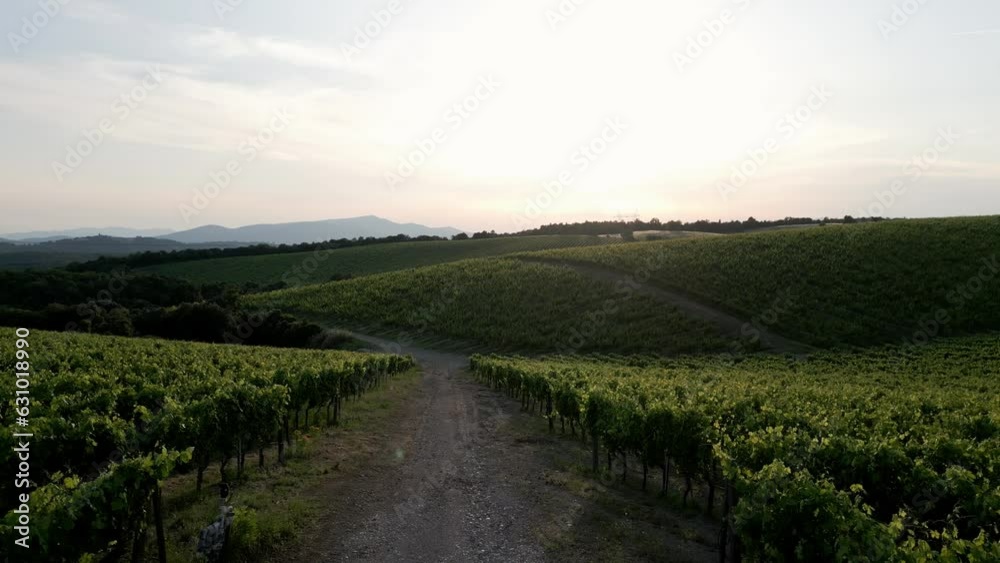 Drone panorama shot of a panorama in tuscany from a beautiful vineyard during sunset Drone panorama shot of a panorama in tuscany from a beautiful vineyard during sunset