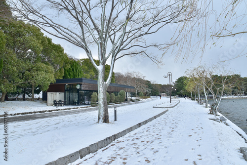日本の冬の公園