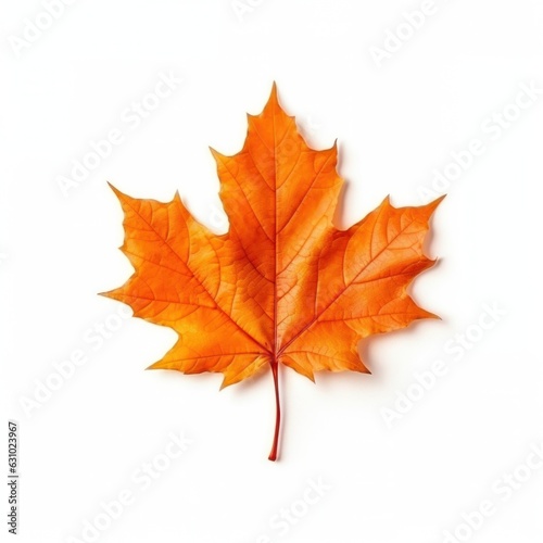 Autumn falling leaf isolated