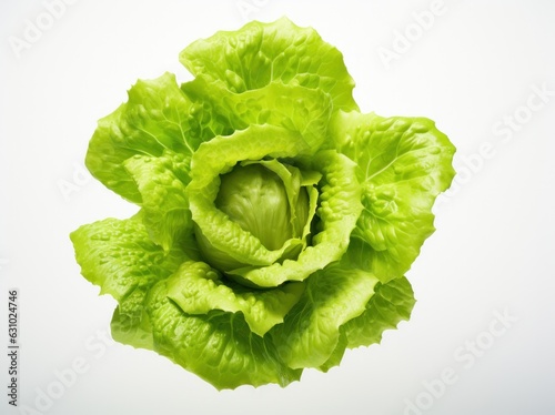 A green lettuce isolated