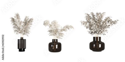 Dried flower in vase on white background	