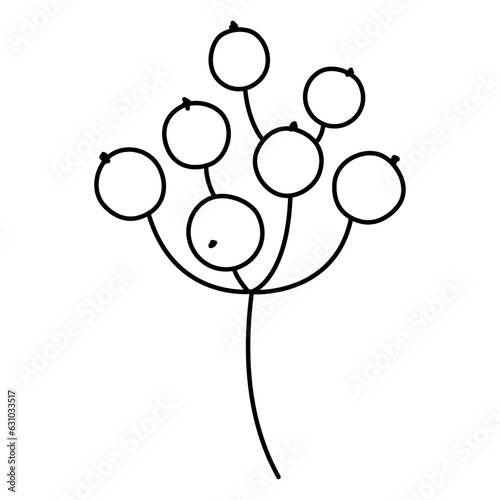 木の実のシンプルな線画イラスト