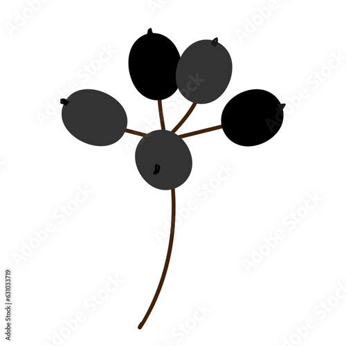 黒い木の実のシンプルなイラスト