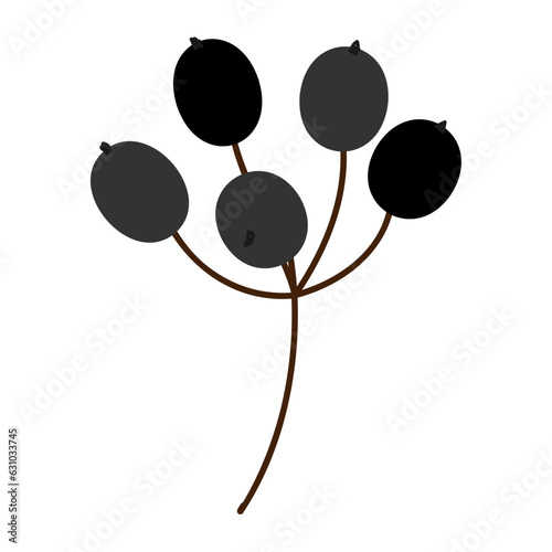 黒い木の実のシンプルなイラスト