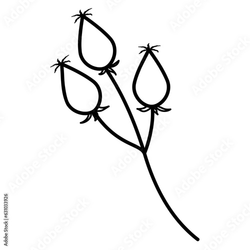 木の実の線画イラスト　バラの実