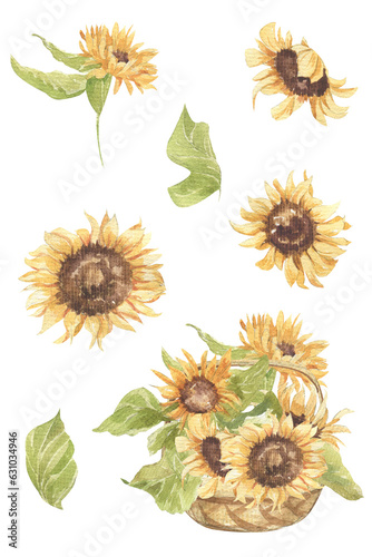 Basket with sunflowers, sunflower flowers set