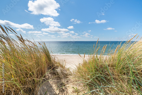 Dune beach at the North Sea coast, Germany