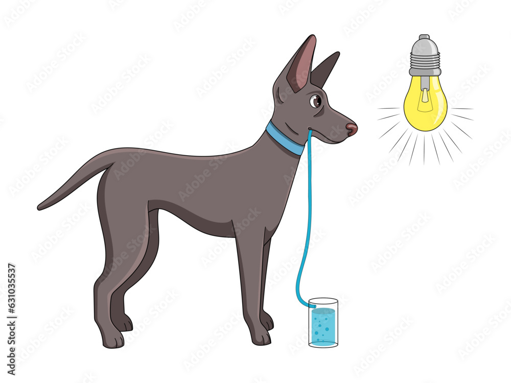 Ivan Pavlov research on dog reflex setup classical conditioning diagram schematic vector illustration. Medical science educational illustration