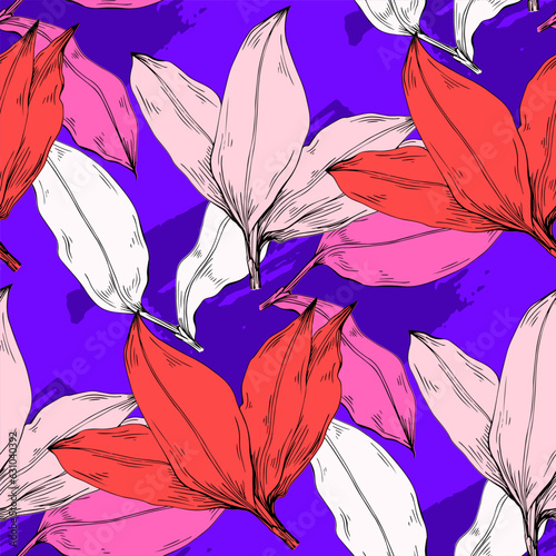 Bay leaf. Floral botanical flower. Isolated illustration element. Vector hand drawing wildflower for background, texture, wrapper pattern, frame or border.