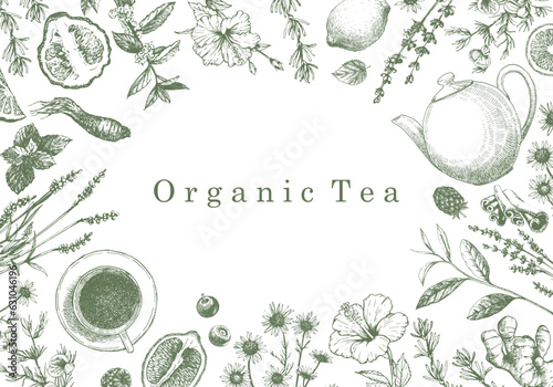 Organic Tea. Hand-drawn illustration of plants and objects. Ink. Vector