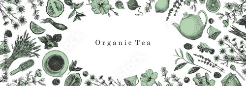 Organic Tea. Hand-drawn illustration of plants and objects. Ink. Vector
