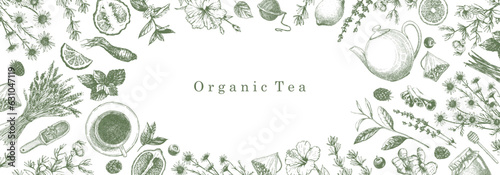 Organic Tea. Hand-drawn illustration of plants and objects. Ink. Vector