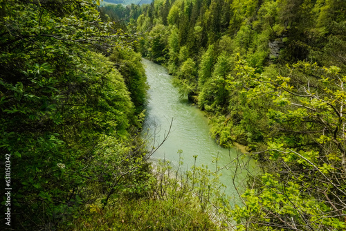 Foto green canyon with a river during hiking in austria