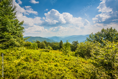 Beautiful view of the Ukrainian mountains Carpathians and valleys.Beautiful green mountains in summer with forests and grass. Water-making ridge in the Carpathians  Carpathian mountains