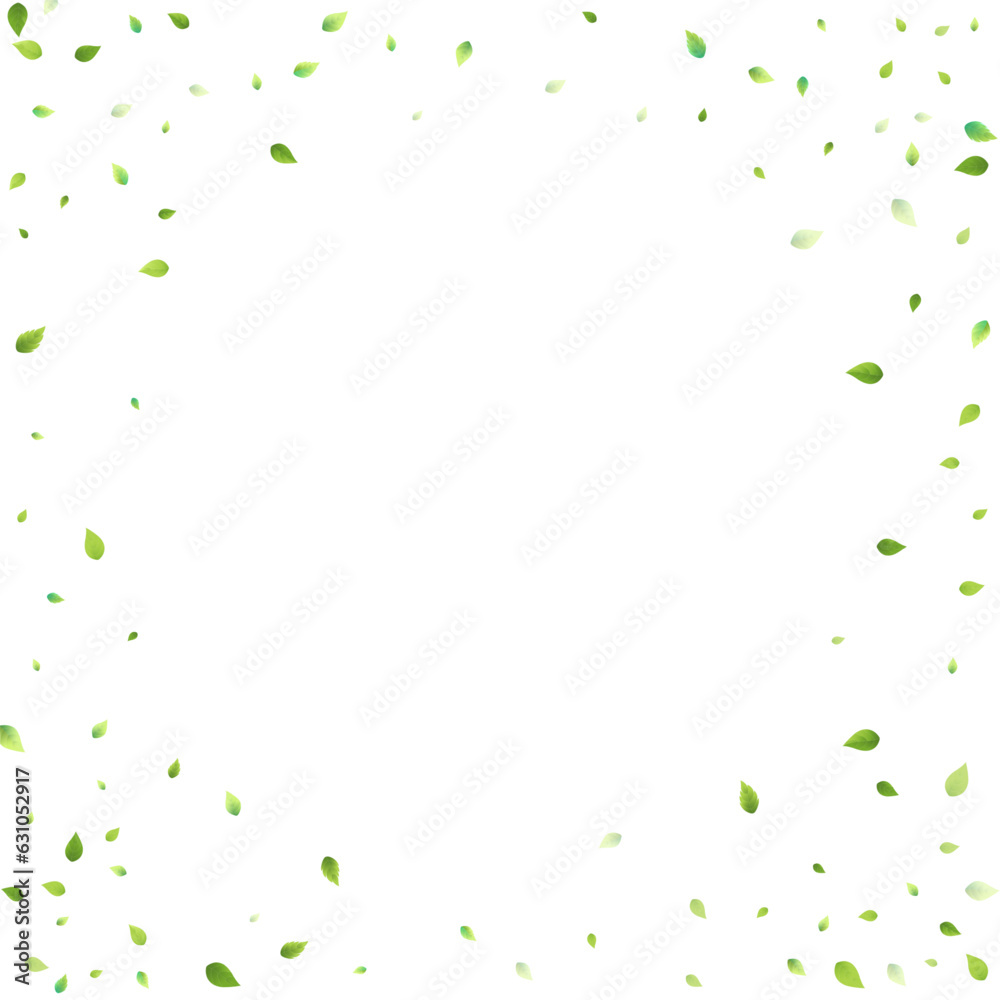Leaves Green Falling Flying Foliage Leaf Tea Mint Leaves Green Falling Flying Foliage Leaf Tea Mint