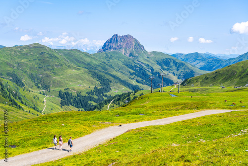 Grosser Rettenstein Mountain with green landscape of Kitzbueheler Alps, Austria