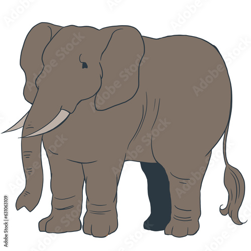 アフリカゾウ01