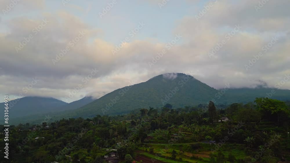 Rice fields at Bedugul near Bali, Indonesia. Mist covered mountains. Rice fields at Bedugul near Bali, Indonesia. Mist covered mountains.