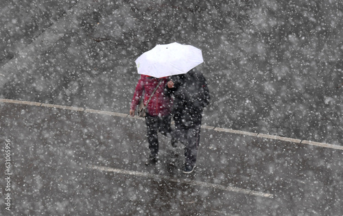 A couple under an umbrella in snowy weather