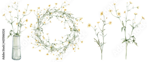 Foto Set of meadow buttercup known as Ranunculus acris, spearworts or water crowfoots
