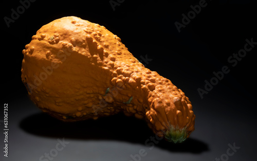 Large yellow squash on a black surface with a drop shadow photo