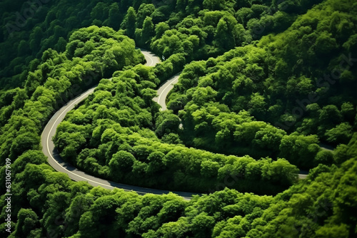 Aerial view of the winding road through the green forest in summer