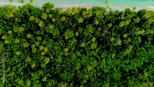 Paradise beach on exotic South Pacific Island - aerial shots of perfect beach and palm trees.m