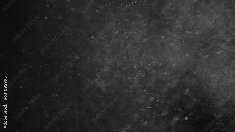 Natural Organic Dust Particles Floating On Black Background. Dynamic Dust Particles Randomly Float In Space With Fast And Slow Motion. Shimmering Glittering White Particles With Bokeh In The Air.
Natural Organic Dust Particles Floating On Black Background. Dynamic Dust Particles Randomly Float In Space With Fast And Slow Motion. Shimmering Glittering White Particles With Bokeh In The Air.