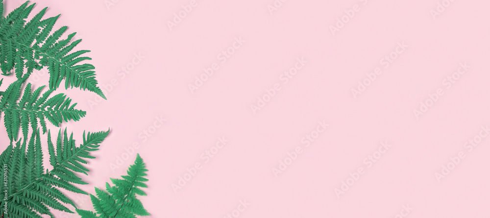 Fresh green fern leaves on light pink background banner. Natural layout. Summer or spring sale template. Minimal concept. Nature pattern. Flat lay, copy space top view. Tropical blank mockup. Frame AD