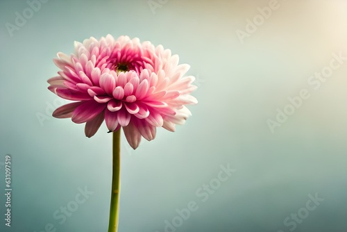 pink flower