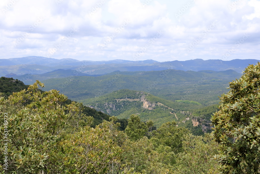 Fototapeta premium Overview of the National Park of Barbagia with limestone rocks and green forest hill, mountain. Central Sardinia, Italy, summer day