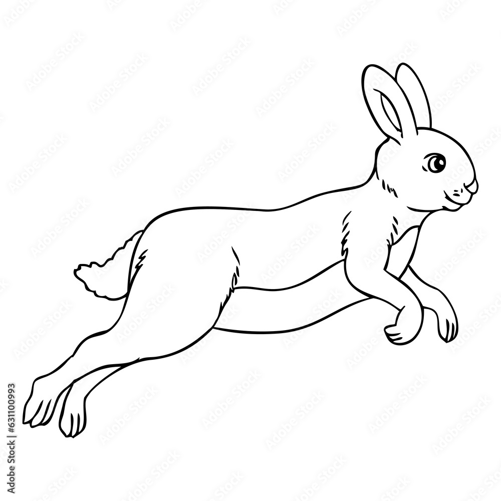 Obraz premium rabbit jumping line vector illustration