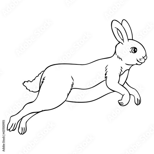 rabbit jumping line vector illustration
