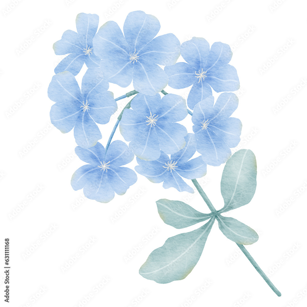 Obraz premium blue flowers watercolor
