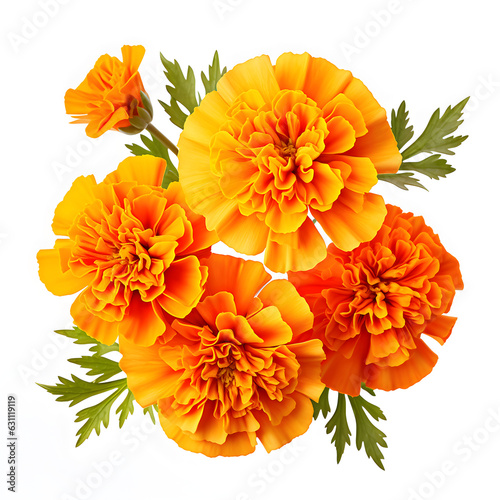 Fototapeta Naklejka Na Ścianę i Meble -  beautiful orange marigold flower isolated on white background with clipping path