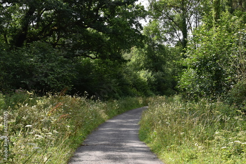 a walk along the tarka trail near Torrington