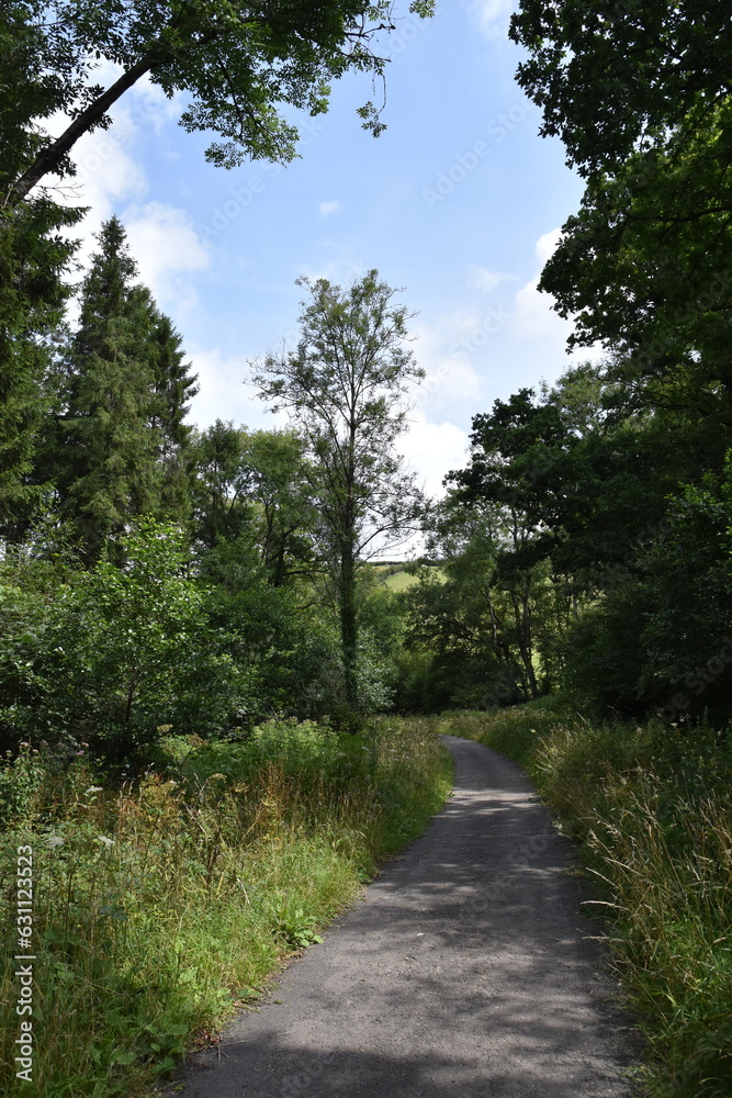a walk along the tarka trail near Torrington a walk along the tarka trail near Torrington