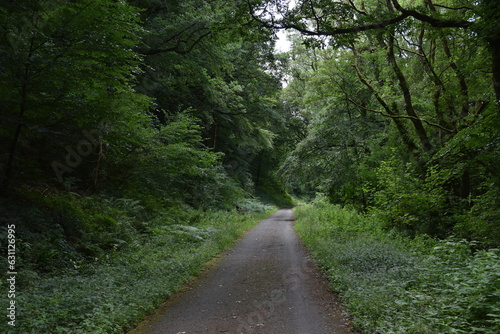 a walk along the tarka trail near Torrington