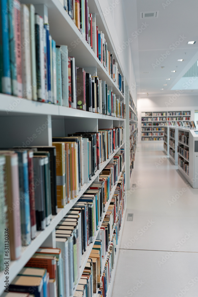 A large number of bookshelves with books. White bookshelves in the library, on which there are many books. A large number of bookshelves with books. White bookshelves in the library, on which there are many books.