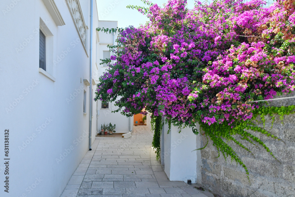 A characteristic alley of  Castro, an old village in the province in Puglia, Italy.