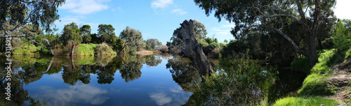 Beautiful panoramic scenery of Werribee River with gum trees Eucalyptus along the riverbank. Background texture of Australian natural landscape. Tarneit, Melbourne VIC Australia.