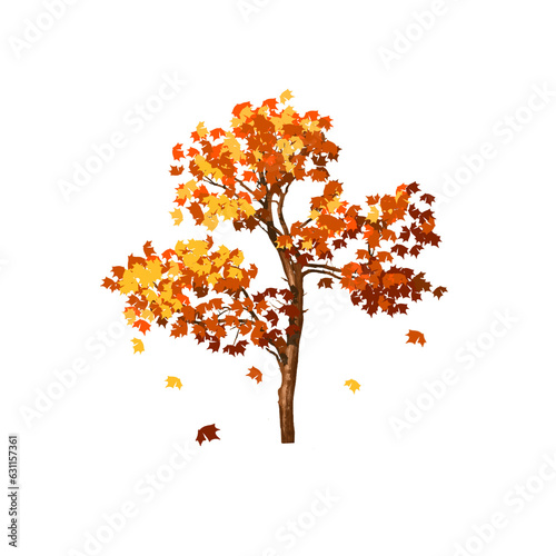 Tree autumn