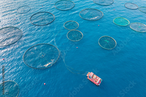 Photography Aquaculture fish farm in sea, seafood industry, aerial view