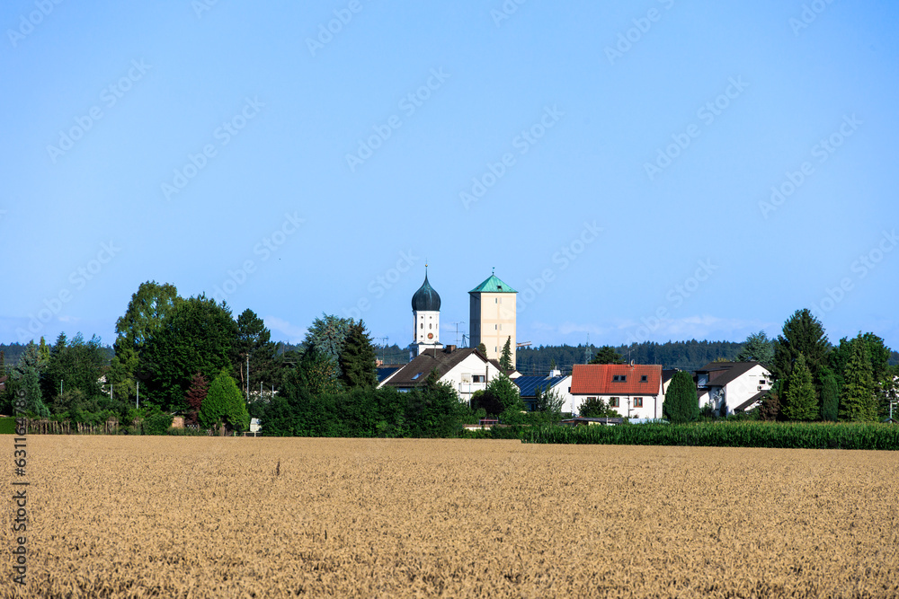 View over wheat field near Inningen in Bavaria with bright blue sky