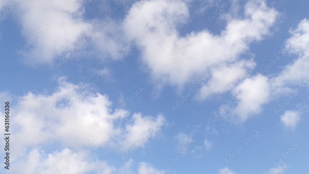 Fototapeta premium KODAK Digital Still Camera