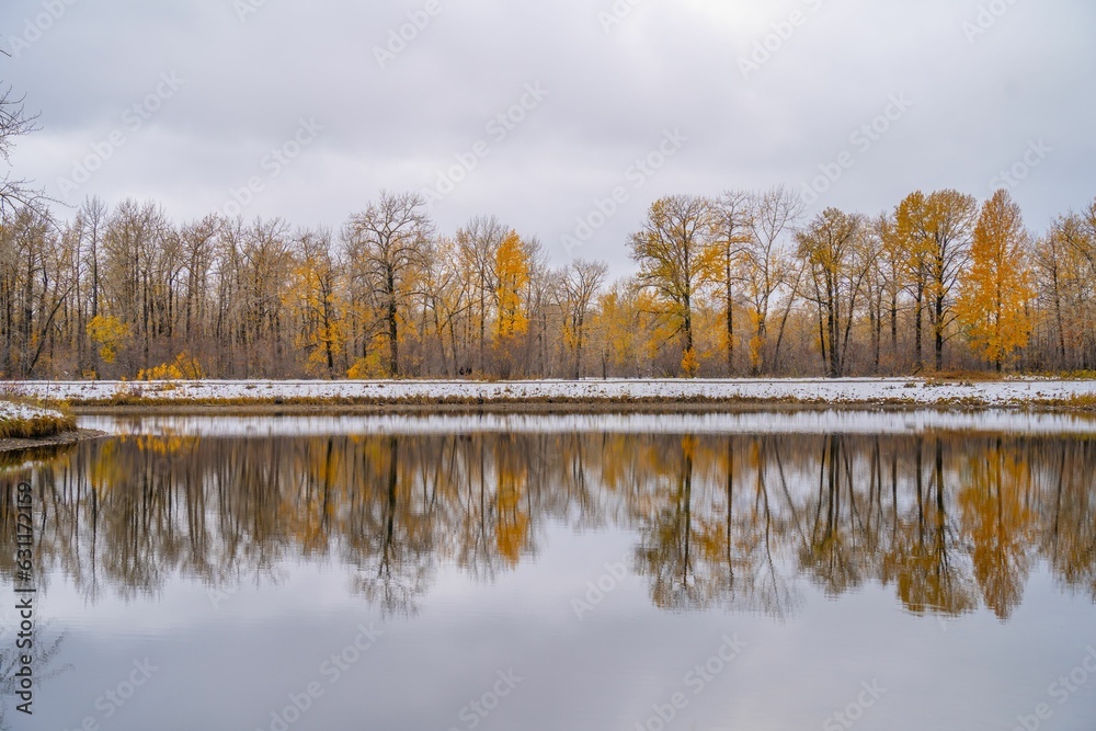 Obraz premium the lake has yellow and brown trees on both sides of it